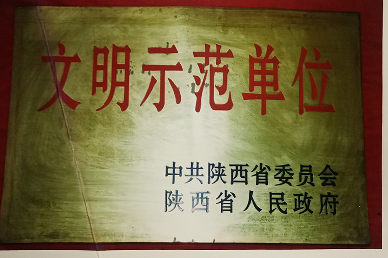 10、省級-陜西省文明示范單位.jpg